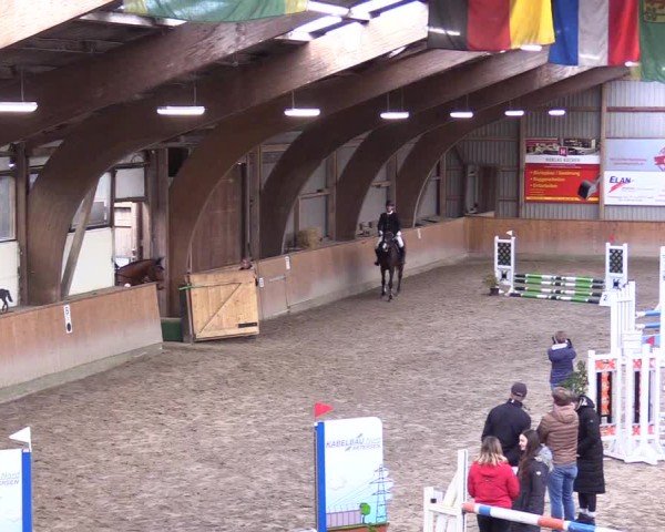 Reitturnier Leck 2025