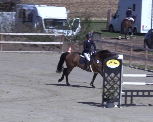 Reitturnier Scharnebeck 2025