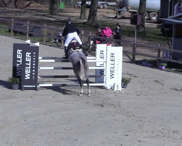 Reitturnier Scharnebeck 2025
