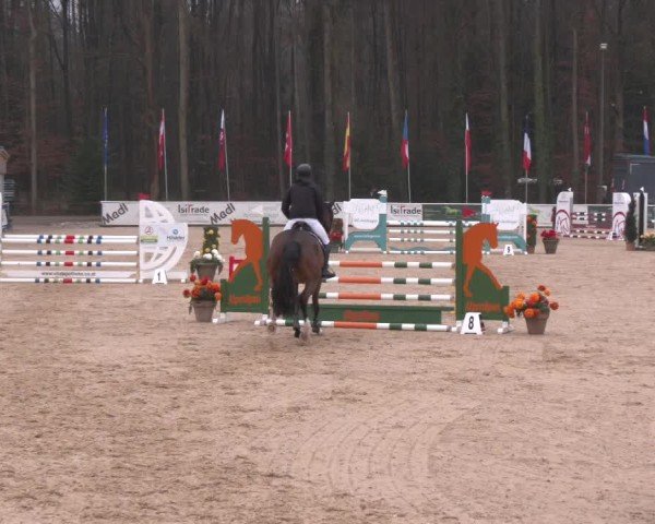 Reitturnier Ranshofen - Braunau am Inn 2025