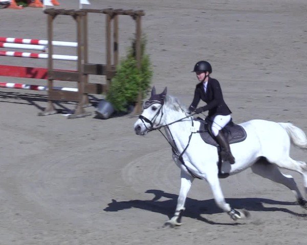 Reitturnier Scharnebeck 2025