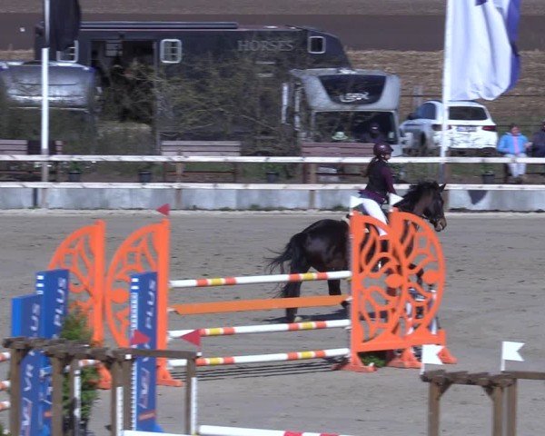Reitturnier Scharnebeck 2025