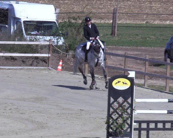 Reitturnier Scharnebeck 2025