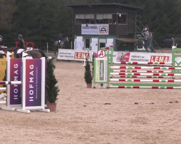 Reitturnier Ranshofen - Braunau am Inn 2025