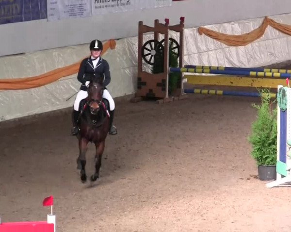 16. Legdener Pony-Meeting