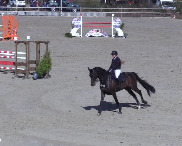 Reitturnier Scharnebeck 2025