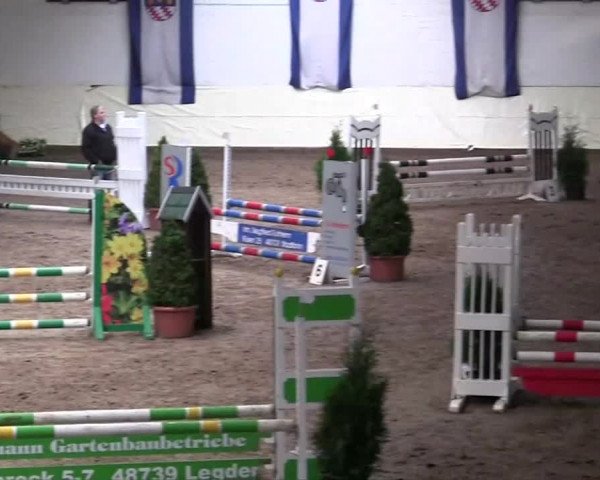 16. Legdener Pony-Meeting