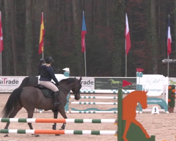 Reitturnier Ranshofen - Braunau am Inn 2025