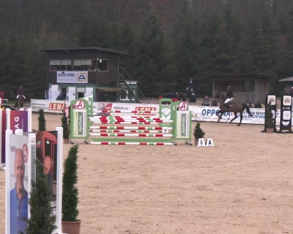 Reitturnier Ranshofen - Braunau am Inn 2025