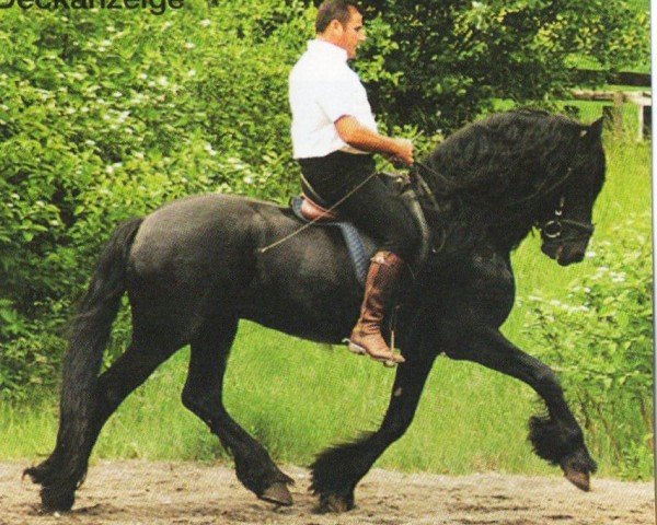 horse Silas (Friese, 1997, from Jillis 301)