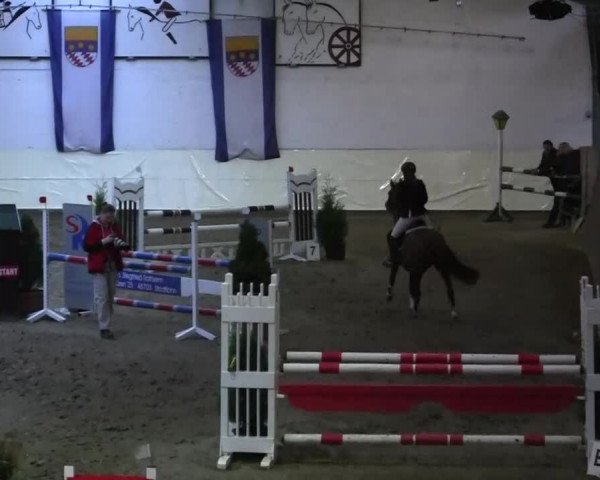 16. Legdener Pony-Meeting