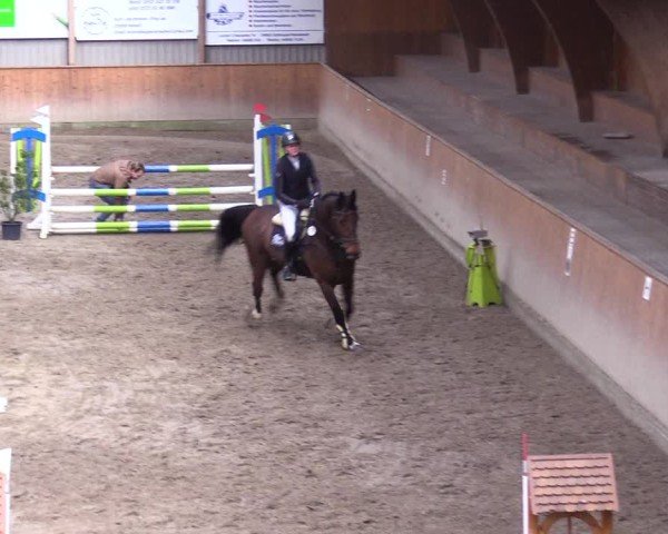 Reitturnier Leck 2025