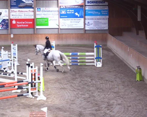 Reitturnier Leck 2025