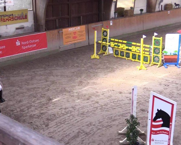 Reitturnier Leck 2025