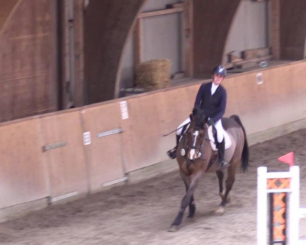 Reitturnier Leck 2025