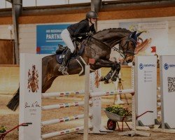 jumper Letizia 65 (German Sport Horse, 2017, from Lets go)