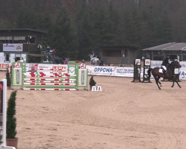 Reitturnier Ranshofen - Braunau am Inn 2025