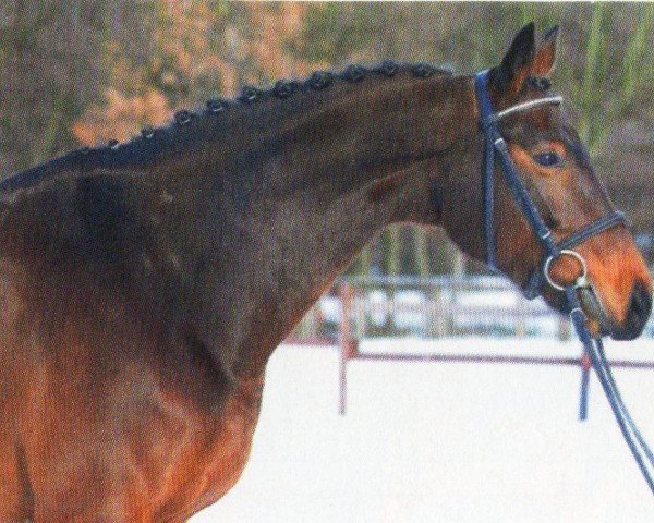 horse Valuna (Westphalian, 2004, from Vulkano FRH)