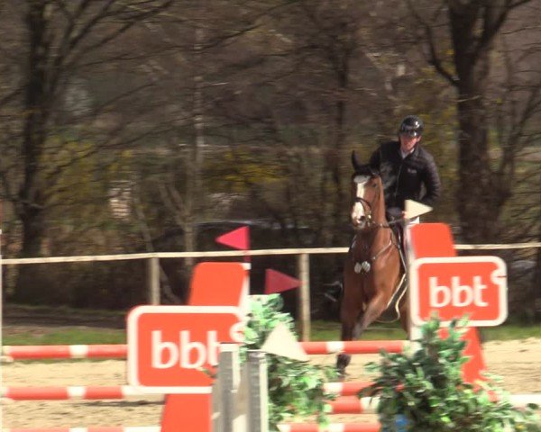 Reitturnier Springe 2025