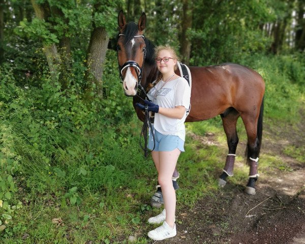 dressage horse Beautiful Vision S Snoopy (Hanoverian, 2016, from Borsalino)