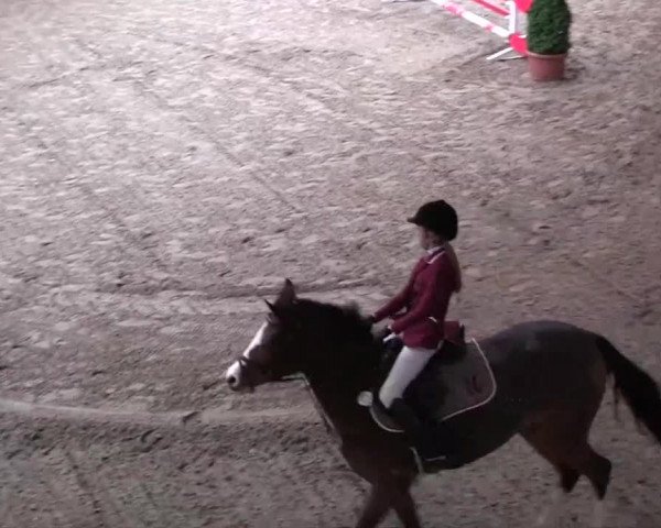16. Legdener Pony-Meeting