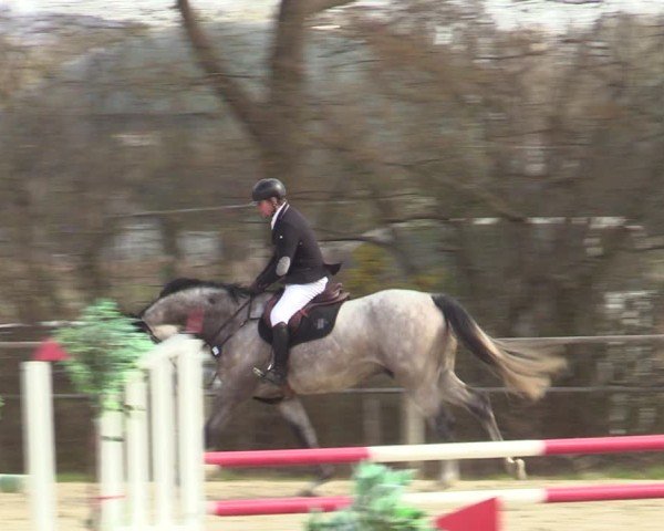 Reitturnier Springe 2025