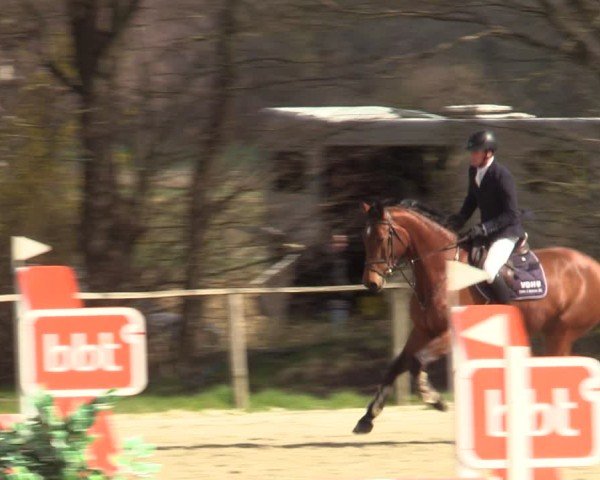 Reitturnier Springe 2025