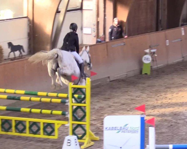 Reitturnier Leck 2025
