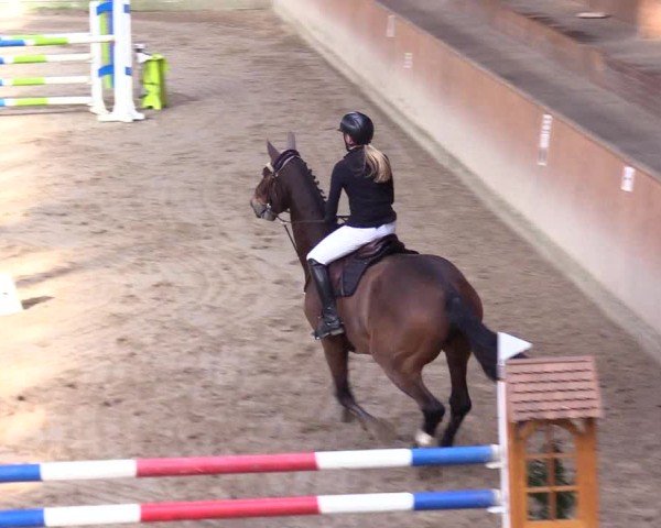 Reitturnier Leck 2025