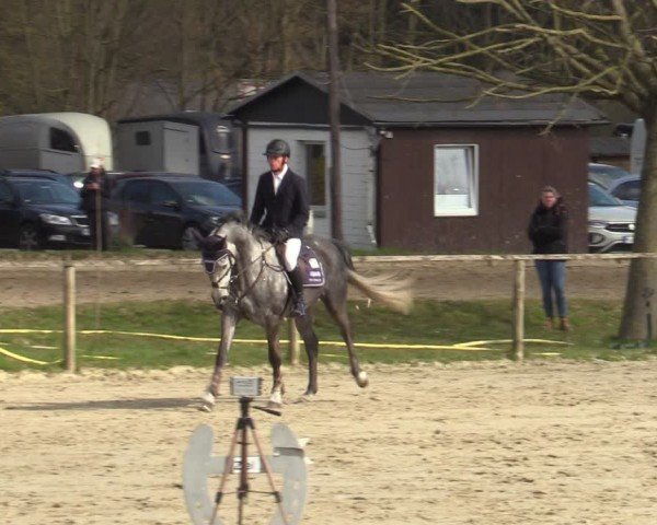 Reitturnier Springe 2025