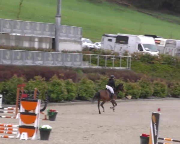 Reitturnier St. Margarethen 2025
