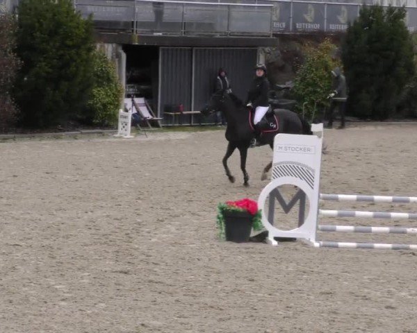Reitturnier St. Margarethen 2025