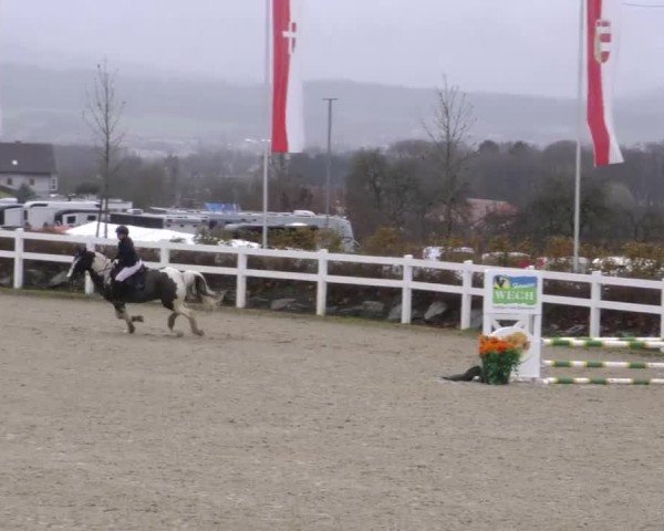 Reitturnier St. Margarethen 2025
