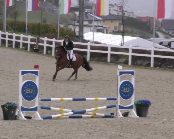 Reitturnier St. Margarethen 2025