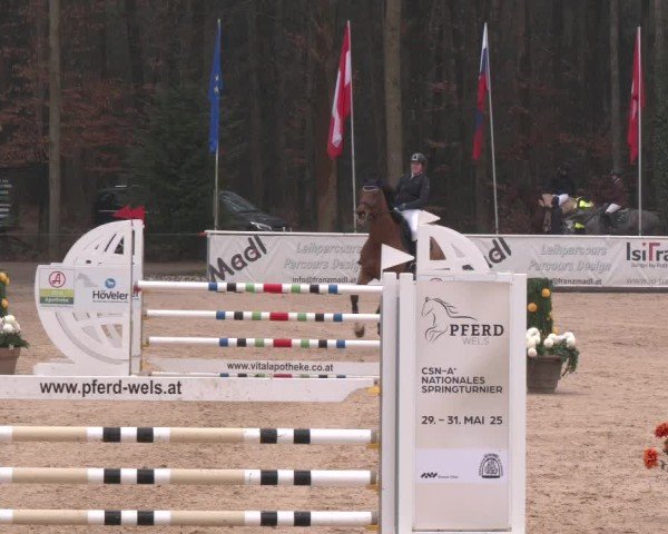 Reitturnier Ranshofen - Braunau am Inn 2025