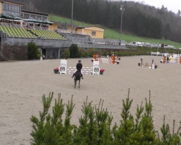 Reitturnier St. Margarethen 2025
