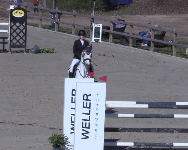 Reitturnier Scharnebeck 2025