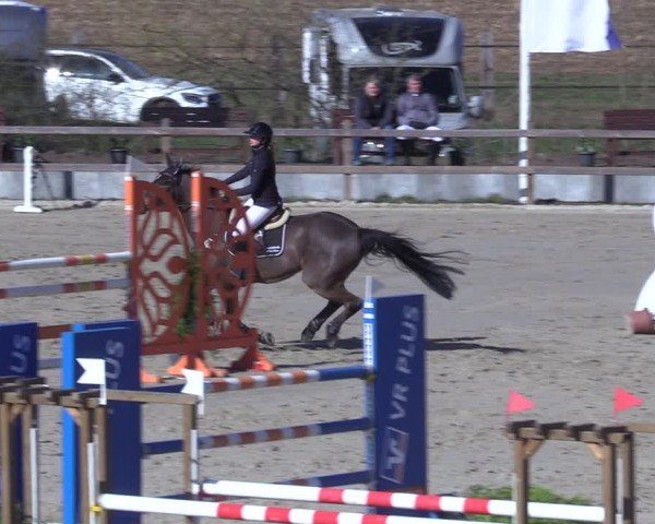 Reitturnier Scharnebeck 2025