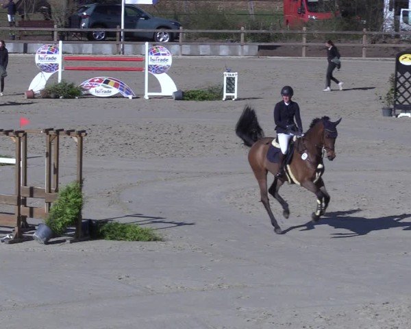 Reitturnier Scharnebeck 2025
