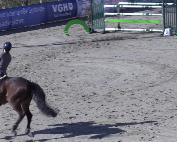 Reitturnier Scharnebeck 2025