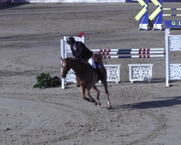 Reitturnier Scharnebeck 2025