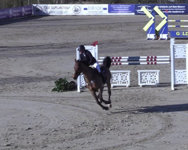 Reitturnier Scharnebeck 2025