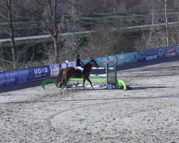 Reitturnier Scharnebeck 2025