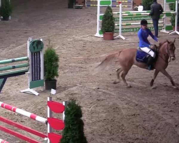 16. Legdener Pony-Meeting