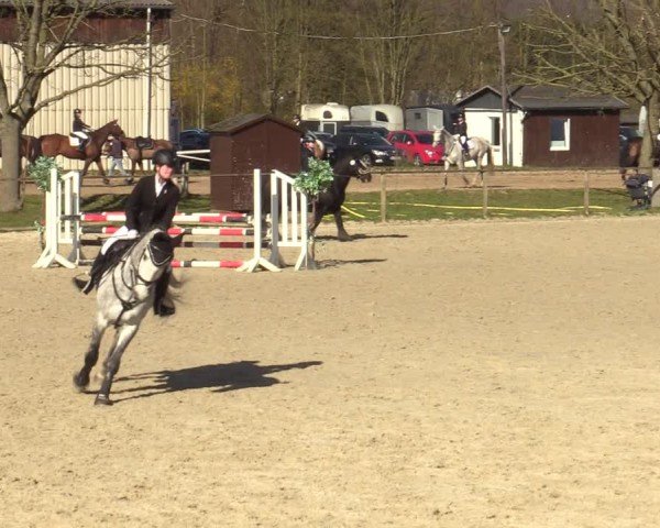 Reitturnier Springe 2025