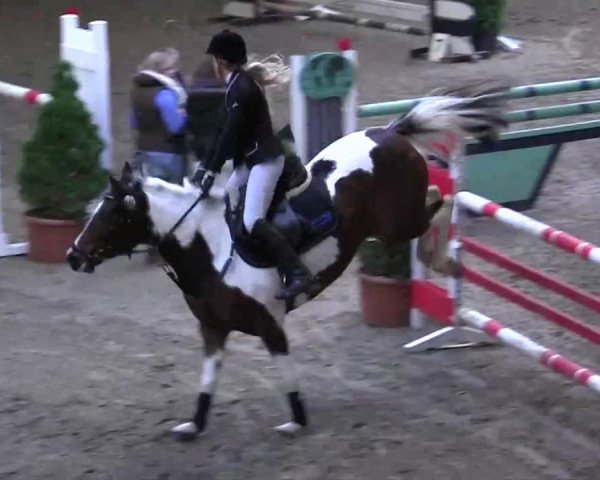 16. Legdener Pony-Meeting