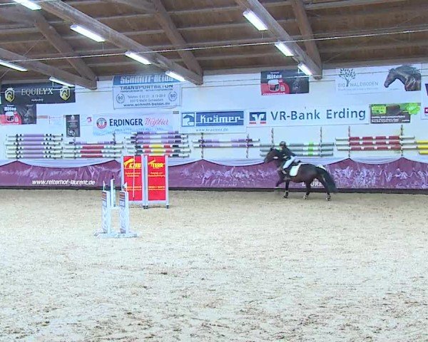 Reitturnier Eicherloh 2025