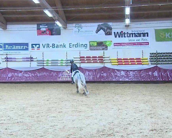 Reitturnier Eicherloh 2025