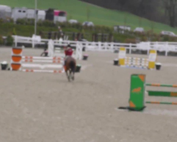 Reitturnier St. Margarethen 2025