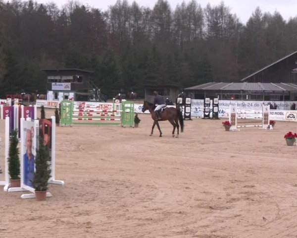 Reitturnier Ranshofen - Braunau am Inn 2025
